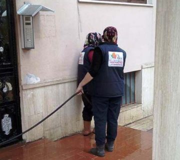 Elazığ Villa Temizliği