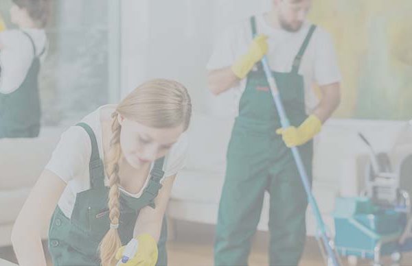 Elazığ Temizlik Firması